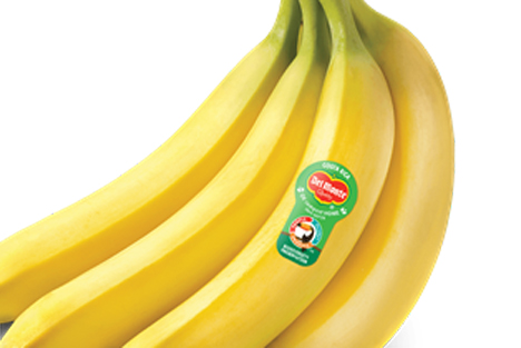 Del Monte bietet in Frankreich kompostierbare Bananenaufkleber an