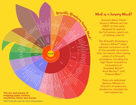 Driscoll's Strawberry Sensory Wheel™ © Driscoll's