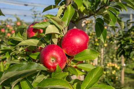 Foto © Hochschule Osnabrück