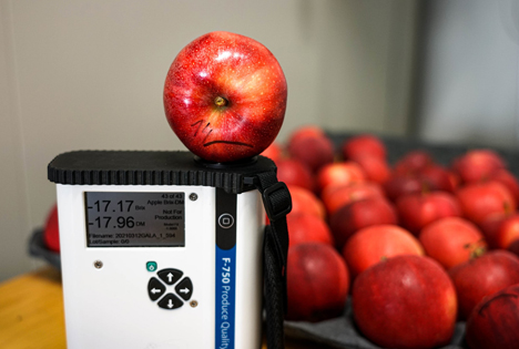 Äpfel bei der Qualitätsmessung im Lager. © Nils Siefen/KOB Bavendorf