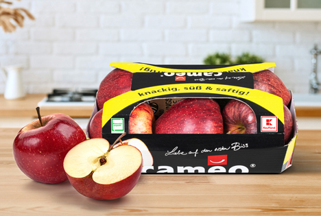 Der Cameo Apfel bei Kaufland