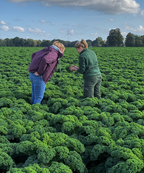 Foto © Herberg/LWK Niedersachsen