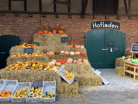 Kürbis und Co haben Hochsaison. Frisch von Niedersachsens Feldern. Foto © Landvolk Niedersachsen