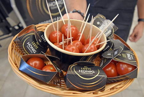 Looye kürt 'Fachhandelsstar' – Tomatenproduzent setzt auf Zusammenarbeit mit Partnern