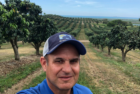 Die puertoricanische Mango diversifiziert ihre Vermarktung, ist aber fest entschlossen, mehr auf dem US-Markt anzubauen