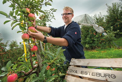 Foto © Thorsten Ritzmann Fotografie