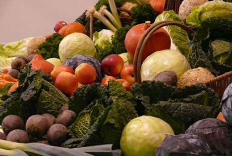 RLV: Der Frost ist bisher kein Problem für Obst und Gemüse