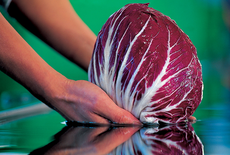 Radicchio aus Chioggia. Foto Sopexa