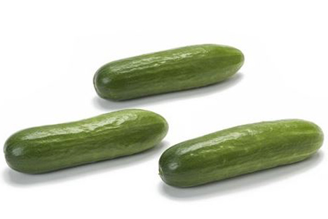 Foto © Rijk Zwaan Snack cucumbers