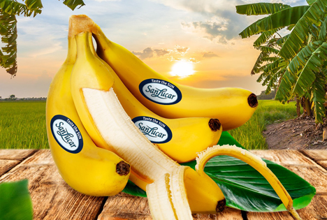 Sanlucar startet mit neuem Premium Bananenkonzept