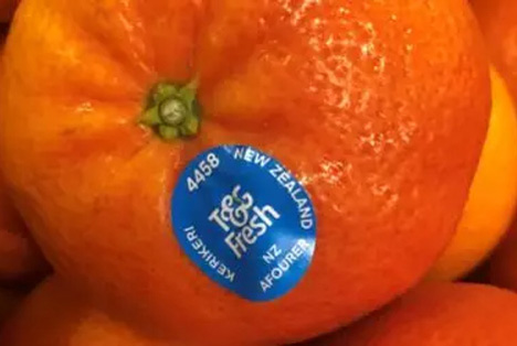 Neuseeland: Neue Mandarinen-Sorte für T&G Fresh
