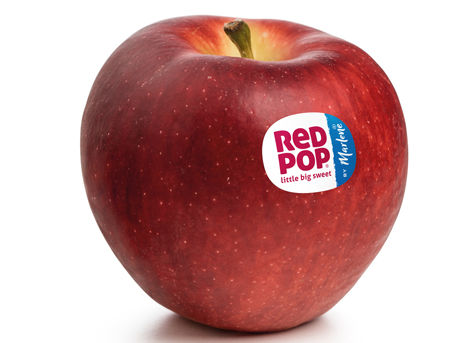 Apfel RedPop® by Marlene® Foto © VOG