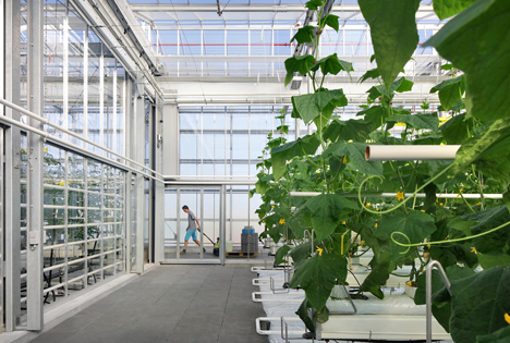 Impression aus dem Inneren von Agrotopia.Foto © Filip Dujardin