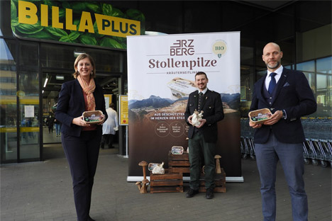Europaweit einzigartige Innovation: Kräuterseitlinge aus Stollen des steirischen Erzbergs bei BILLA