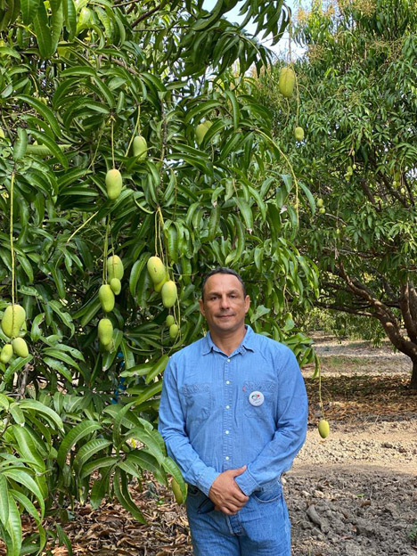 Eduardo Castillejos Präsident Vereinigung mexikanischer Mangoexporteure. Foto © EMEX
