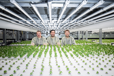 YASAI Gründungstrio. Das Gründungstrio von YASAI: Mark E. Zahran, Philipp Bosshard und Stefano Augstburger. Foto © YASAI