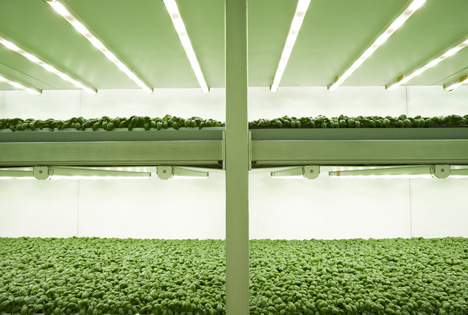 Planet Farms kooperiert mit SPAR: gesunde Vertical Farming Produkte für den österreichischen Markt