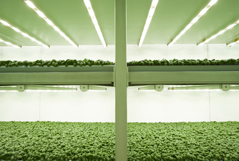 Vertical Farm Foto © Planet Farms