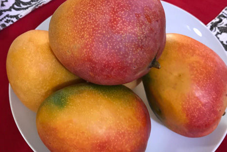 Tiko Mangos mit Vertriebsbüros in den Vereinigten Staaten, Kanada und Europa