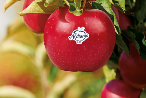 Aldi Süd startet mit exklusiver Apfelsorte 