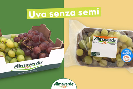 Kernlose Bio-Trauben von Almaverde in Italien und Europa zunehmend gefragt