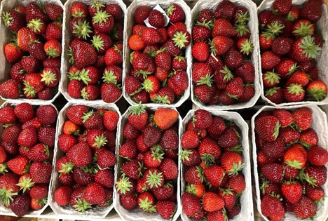 Norddeutsche Erdbeeren auf dem Großmarkt in Hamburg. Quelle: © BLE