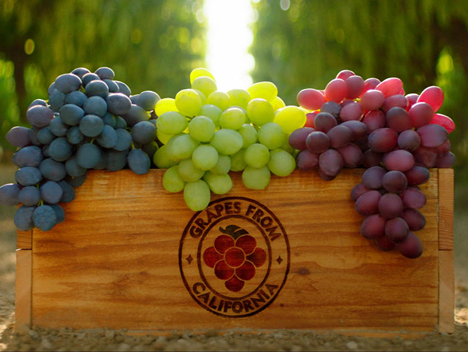 Foto © California Table Grape Commission