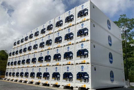 Chiquita hat die Investition in die PrimeLINE-Containerkühleinheiten von Carrier Transicold erhöht