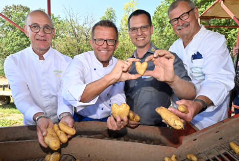 Offizieller Start der Frühkartoffelernte im Südwesten mit Kür der neuen Markenbotschafter für Pfälzer Grumbeere 2023/24