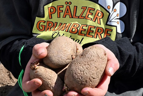Die offiziellen Landessieger beim Schulgartenprojekt 