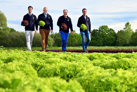 Gemüsegarten Pfalz - Jetzt rollen die Köpfe