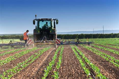 Foto © Gemüsering Stuttgart GmbH