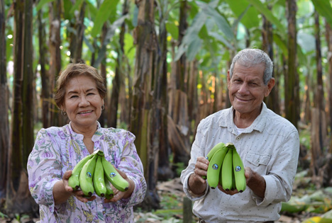 Foto © Fincas del Oro Ecuador