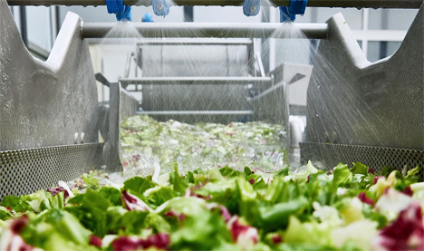 Waschen von geschnittenem Salat in der HEWA. Foto © KRONEN GmbH