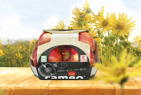 Kaufland: Cameo Äpfel in Silphie-Verpackung erhältlich