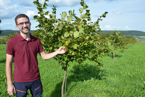 Hendrik Hoffmann hat auf drei Hektar sukzessive 1.000 Haselnussbäume gepflanzt. Foto © Landvolk