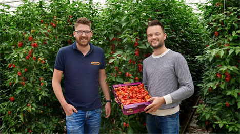 Peperteler Berkel en Rodenrijs. Foto © Nature's Pride