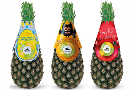 Pineapple Dolcetto. Foto © Brio/Agrintesa/CJPABZ