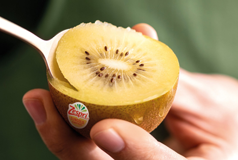 Zespri™ Kiwi: Marktführer aus Neuseeland präsentiert sich auf der Fruit Logistica