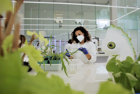 Bayer und Kimitec arbeiten gemeinsam an der nächsten Generation von Biologika