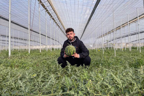 José Montoya -  Bio-Wassermelonen. Foto © Campojoyma