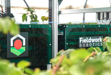 GB: Startup für Himbeeren pflückenden Roboter bekommt neue Finanzmittel