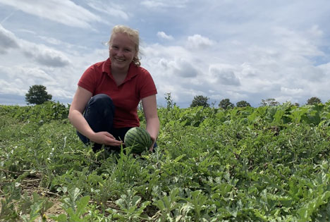 Kalorienarme Sommerfrucht erobert heimische Felder und Herzen der Verbraucher