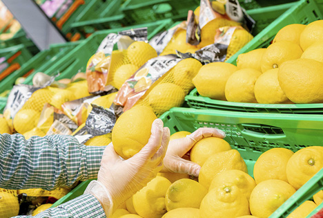 Zitronen in der Obst- und Gemüseabteilung von Mercadona. Foto © Mercadona