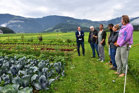 Österreich: Vorarlberger Gemüsebau legt weiter zu