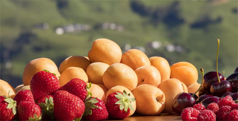 suedtiroler obst Foto: IDM - Frieder Blickle