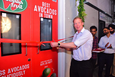 Westfalia eröffnet erste eigene Avocado-Reifungsanlage in Indien