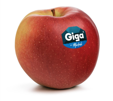 Giga ® Apfel fruitecom.it