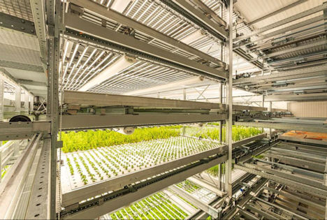 Yasai vertical farming