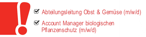Neue Stellenangebote